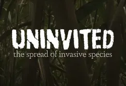 Uninvited: The Spread of Invasive Species