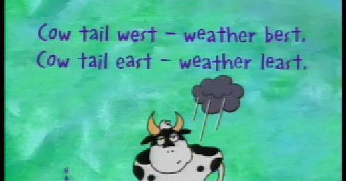 A Funny Show About The Weather Weather Sayings Episode 3 PBS