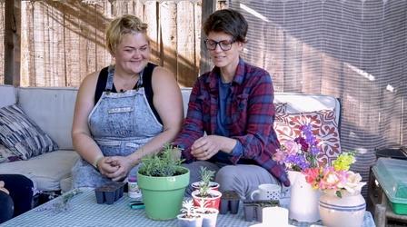 Video thumbnail: Modern Gardener How to Propagate Lavender