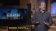 Essay | Dominic Papatola