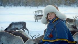 Reindeer Face Starvation: asset-mezzanine-16x9
