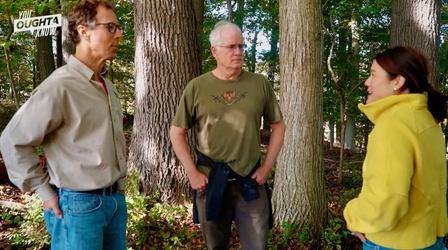 Video thumbnail: You Oughta Know Delaware Hunter Discovers Rare Tree