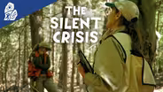 The Silent Crisis: Caring for Eastern Hemlocks on West Michgan's Coast