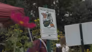 Monarch Waystations