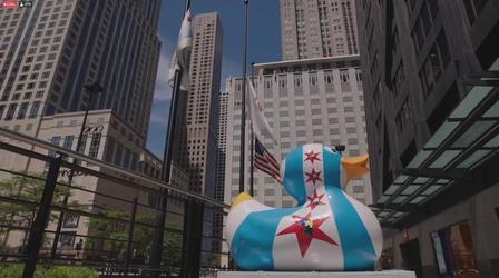 Video thumbnail: Chicago Tonight ‘Ducks on the Mag Mile’ Celebrates Special Olympics Illinois