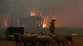 Video thumbnail: PBS NewsHour January 2, 2020 - PBS NewsHour full episode