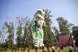 White Lotus Dragon & Lion Dance