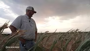 What's making it harder for American family farms to survive