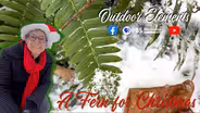 A Fern for Christmas