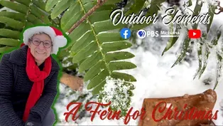 A Fern for Christmas