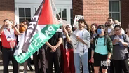 Pro-Palestine Protests at UK