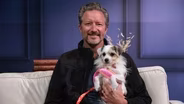 Hearts 4 Paws Gives Rescue Dogs a Second Chance
