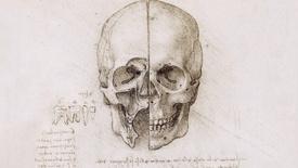 The Vitruvian Man and Leonardo da Vinci's Anatomical Studies: asset-mezzanine-16x9