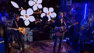 Fancy Gap: “Magnolias”