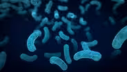 Six Microbes Living in You