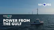 Power from the Gulf