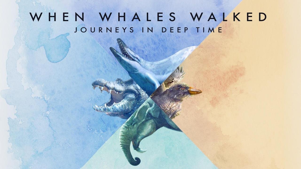 When Whales Walked: Journeys In Deep Time