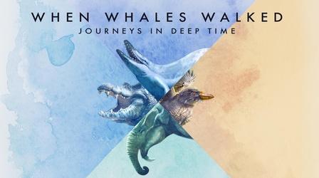 Video thumbnail: When Whales Walked: Journeys in Deep Time When Whales Walked: Journeys in Deep Time