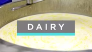 Best of Feast TV: Dairy