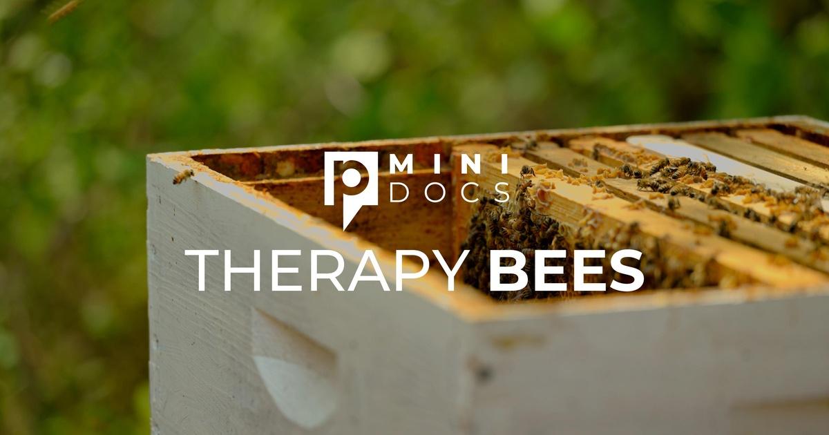 Mini Docs | Therapy Bees | PBS