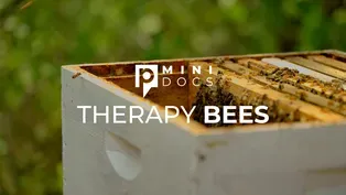 Therapy Bees