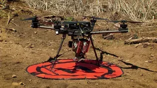 Drones in Forestry Management