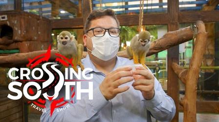 Video thumbnail: Crossing South Season 11 Preview