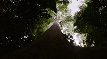 Video thumbnail: Earth Focus Earth Focus Environmental Film Festival 2023 (Preview)