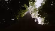 Earth Focus Environmental Film Festival 2023 (Preview)