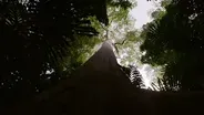 Earth Focus Environmental Film Festival 2023 (Preview)
