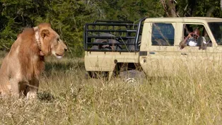 Meet Gorongosa National Park’s Head Veterinarian