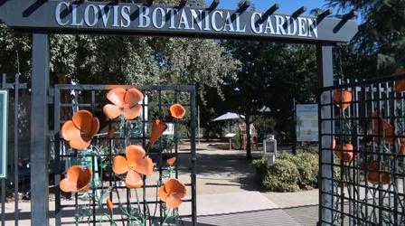 Video thumbnail: Valley PBS Community byYou Clovis Botanical Garden