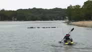 Lake communities hope for no algal blooms this summer