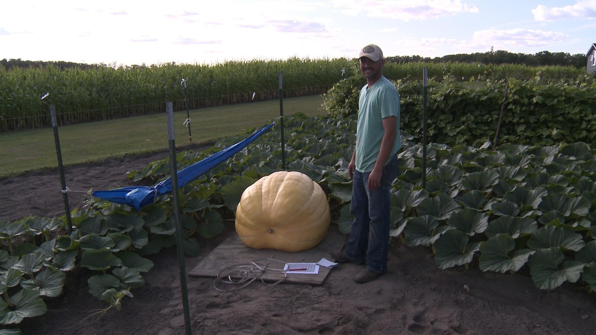 Clearbrook/Gonvick community competes, growing GIANT PUMKINS