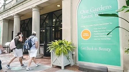 Video thumbnail: You Oughta Know A New Leaf: Longwood Gardens Safely Reopens