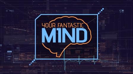 Video thumbnail: Your Fantastic Mind DOGS