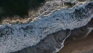 Science in the Sea