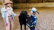 Kitsap Fair & Stampede: Where Tradition Rides and Youth Lead