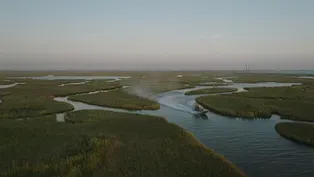 The Coastal Journey Begins
