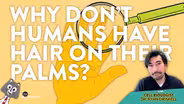 Why Don't Humans Have Hair On their Palms? Dr. Driskell