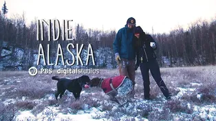 We Are Passive Solar Home Builders | INDIE ALASKA