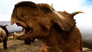 Brutal Pachyrhinosaurus Battle