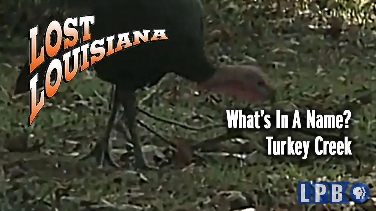 Turkey Creek | What's in a Name?