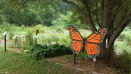 Bellevue State Park Butterfly Sanctuary