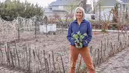 Garden Progression: Month of May
