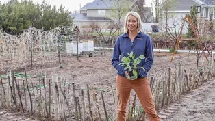 Garden Progression: Month of May