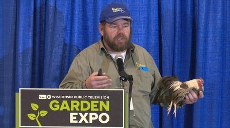 Video thumbnail: University Place The Right Chicken for the Right Family