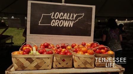 Video thumbnail: Tennessee Life Tennessee Life - 603 - Tomatoes, Blueberries & Flowers