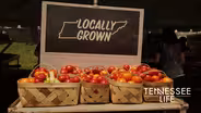 Tennessee Life - 603 - Tomatoes, Blueberries & Flowers