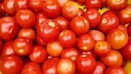 The Future Of: Tomatoes